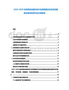 2025-2030馬來西亞金融科技行業(yè)營銷現(xiàn)狀分析及創(chuàng)新商業(yè)模式投資評估方案報告