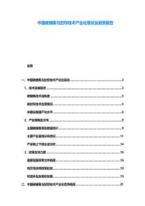 中國碳捕集與封存技術(shù)產(chǎn)業(yè)化現(xiàn)狀及前景報告