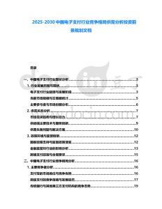 2025-2030中國電子支付行業(yè)競爭格局供需分析投資前景規(guī)劃文檔
