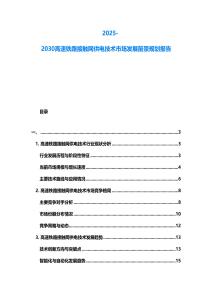 2025-2030高速鐵路接觸網(wǎng)供電技術(shù)市場發(fā)展前景規(guī)劃報告