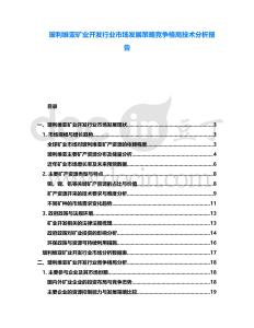 玻利維亞礦業(yè)開發(fā)行業(yè)市場發(fā)展策略競爭格局技術(shù)分析報告