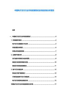 中國電子支付行業(yè)市場發(fā)展現(xiàn)狀及風險控制分析報告