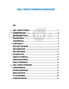 中國(guó)人工智能芯片市場(chǎng)格局及技術(shù)路線對(duì)比報(bào)告