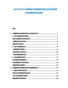 2025至2030中國兩輪車燃油噴射系統行業市場深度研究與戰略咨詢分析報告