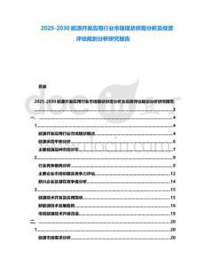 2025-2030能源開(kāi)發(fā)應(yīng)用行業(yè)市場(chǎng)現(xiàn)狀供需分析及投資評(píng)估規(guī)劃分析研究報(bào)告
