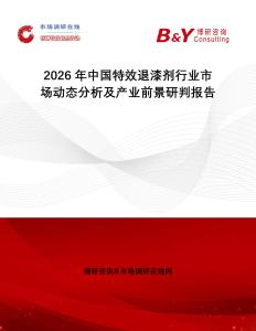 2026年中國特效退漆劑行業市場動態分析及產業前景研判報告