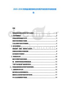 2025-2030青海鹽湖資源綜合利用開發(fā)投資評估規(guī)劃報告