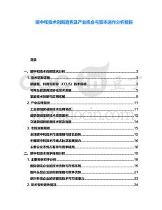 碳中和技術(shù)創(chuàng)新趨勢(shì)及產(chǎn)業(yè)機(jī)會(huì)與資本運(yùn)作分析報(bào)告