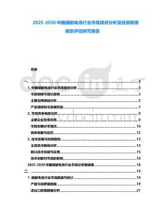 2025-2030中國儲能電池行業(yè)市場現(xiàn)狀分析及投資前景規(guī)劃評估研究報告