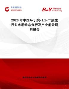 2026年中國環(huán)丁烷-11-二羧酸行業(yè)市場動態(tài)分析及產(chǎn)業(yè)前景研判報告