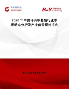 2026年中國(guó)環(huán)丙甲基酮行業(yè)市場(chǎng)動(dòng)態(tài)分析及產(chǎn)業(yè)前景研判報(bào)告