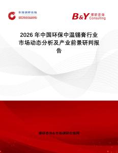 2026年中國環(huán)保中溫錫膏行業(yè)市場動態(tài)分析及產(chǎn)業(yè)前景研判報(bào)告