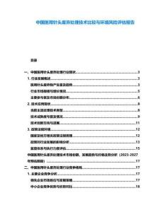 中國醫用針頭廢棄處理技術比較與環境風險評估報告