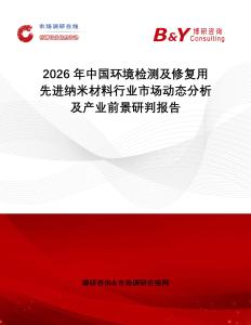 2026年中國環(huán)境檢測及修復(fù)用先進(jìn)納米材料行業(yè)市場動(dòng)態(tài)分析及產(chǎn)業(yè)前景研判報(bào)告