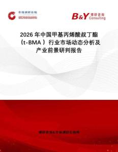 2026年中國(guó)甲基丙烯酸叔丁酯（t-BMA ）行業(yè)市場(chǎng)動(dòng)態(tài)分析及產(chǎn)業(yè)前景研判報(bào)告