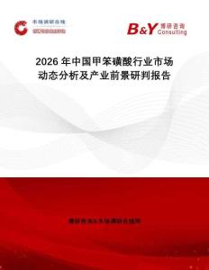 2026年中國甲笨磺酸行業(yè)市場動(dòng)態(tài)分析及產(chǎn)業(yè)前景研判報(bào)告