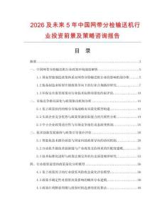 2026及未來5年中國網帶分檢輸送機行業投資前景及策略咨詢報告