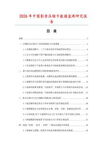2026年中國影音壓縮卡數據監測研究報告
