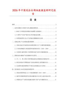 2026年中國洗浴木棉塊數(shù)據(jù)監(jiān)測研究報(bào)告