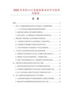 2025年異形三葉類攪拌器項目可行性研究報告