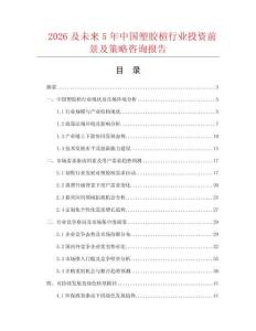 2026及未來5年中國塑膠楦行業(yè)投資前景及策略咨詢報(bào)告