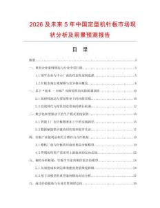 2026及未來5年中國定型機針板市場現(xiàn)狀分析及前景預測報告