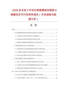 2026及未來5年實時高解像度四畫面分割器項目可行性研究報告（市場調(diào)查與數(shù)據(jù)分析）