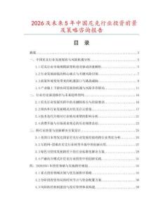 2026及未來5年中國尼克行業投資前景及策略咨詢報告