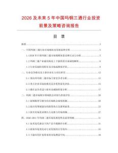 2026及未來5年中國瑪鋼三通行業(yè)投資前景及策略咨詢報告