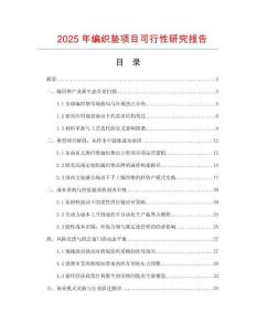 2025年編織墊項目可行性研究報告