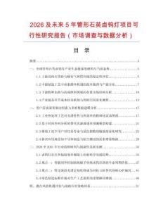 2026及未來5年管形石英鹵鎢燈項目可行性研究報告（市場調查與數據分析）