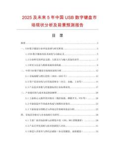 2025及未来5年中国USB数字键盘市场现状分析及前景预测报告