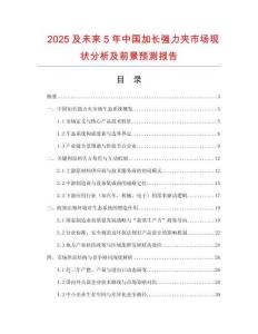 2025及未來5年中國加長強(qiáng)力夾市場現(xiàn)狀分析及前景預(yù)測報(bào)告