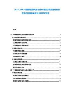 2025-2030中國新能源汽艇行業市場現狀供需分析及投資評估發展趨勢規劃分析研究報告