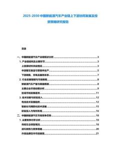 2025-2030中國新能源汽車產業鏈上下游協同發展及投資策略研究報告