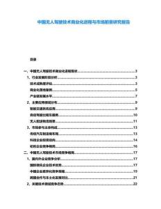 中國無人駕駛技術(shù)商業(yè)化進程與市場前景研究報告