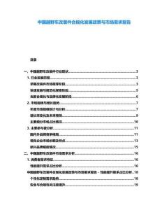 中国越野车改装件合规化发展政策与市场需求报告