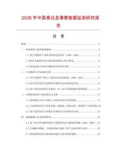 2026年中國黑白顯像管數據監測研究報告