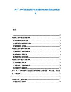 2025-2030能源交易平臺運營模式及其投資潛力分析報告