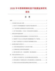 2026年中國鋼柄棘輪扳手數據監測研究報告