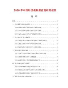 2026年中國(guó)砂洗袋數(shù)據(jù)監(jiān)測(cè)研究報(bào)告