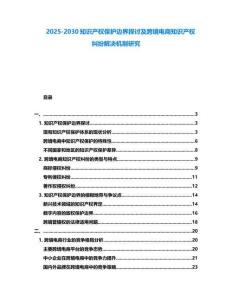 2025-2030知識產權保護邊界探討及跨境電商知識產權糾紛解決機制研究