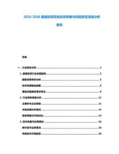 2025-2030基建投資項目投資策略與風險防范深度分析報告