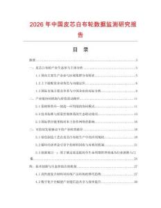 2026年中國皮芯白布輪數據監測研究報告