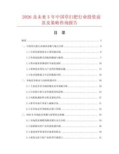 2026及未來5年中國草掃把行業(yè)投資前景及策略咨詢報告