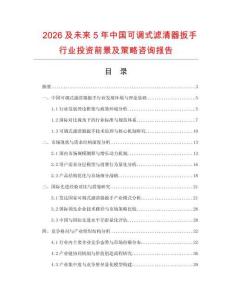 2026及未來5年中國可調(diào)式濾清器扳手行業(yè)投資前景及策略咨詢報告