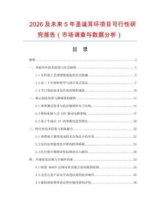 2026及未來5年圣誕耳環項目可行性研究報告（市場調查與數據分析）