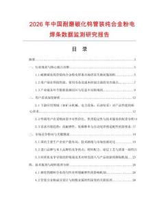 2026年中國耐磨碳化鎢管裝純合金粉電焊條數據監測研究報告