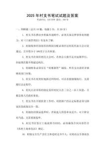 2025年村支書筆試試題及答案