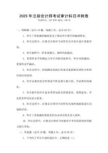 2025年注冊會計師考試審計科目沖刺卷